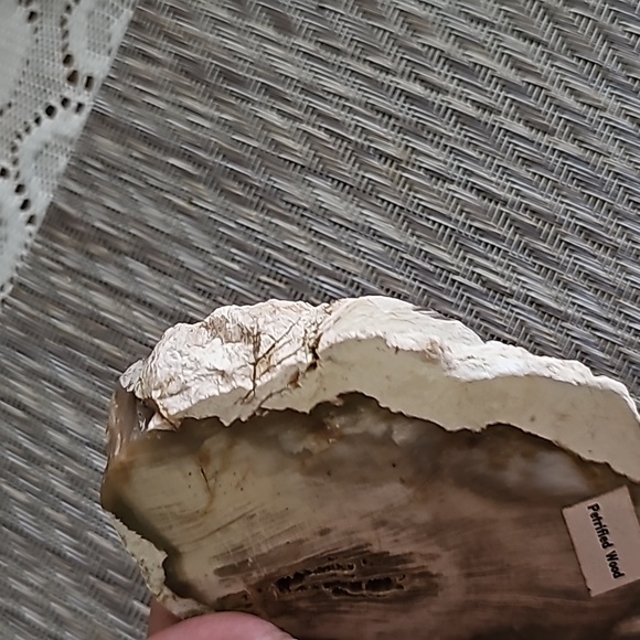 DUSKY PETRIFIED WOOD Slice, Stone Plate, Petrified Wood - Picture 5 of 9